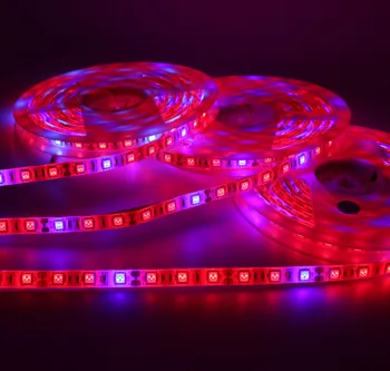 5 M LED Phyto Lamps Full Spectrum LED Strip Light 300 led 5050 Chip LED Fitolampy Grow Lights dla cieplarnianego гидропонного zakładu