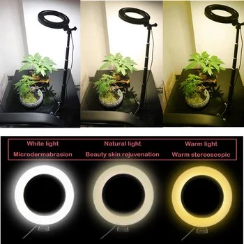Dimmable LED Selfie Ring Light Cellphone Video Light Photography Lighting With Tripod For Youtobe Makeup Video Live Studio Light
