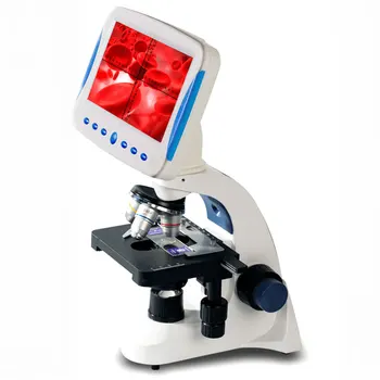 Profesjonalny cyfrowy 2000X integralną biologiczny mikroskop obserwacja spermy LED Szkolna pracownia z ekranem linia pomiarowa